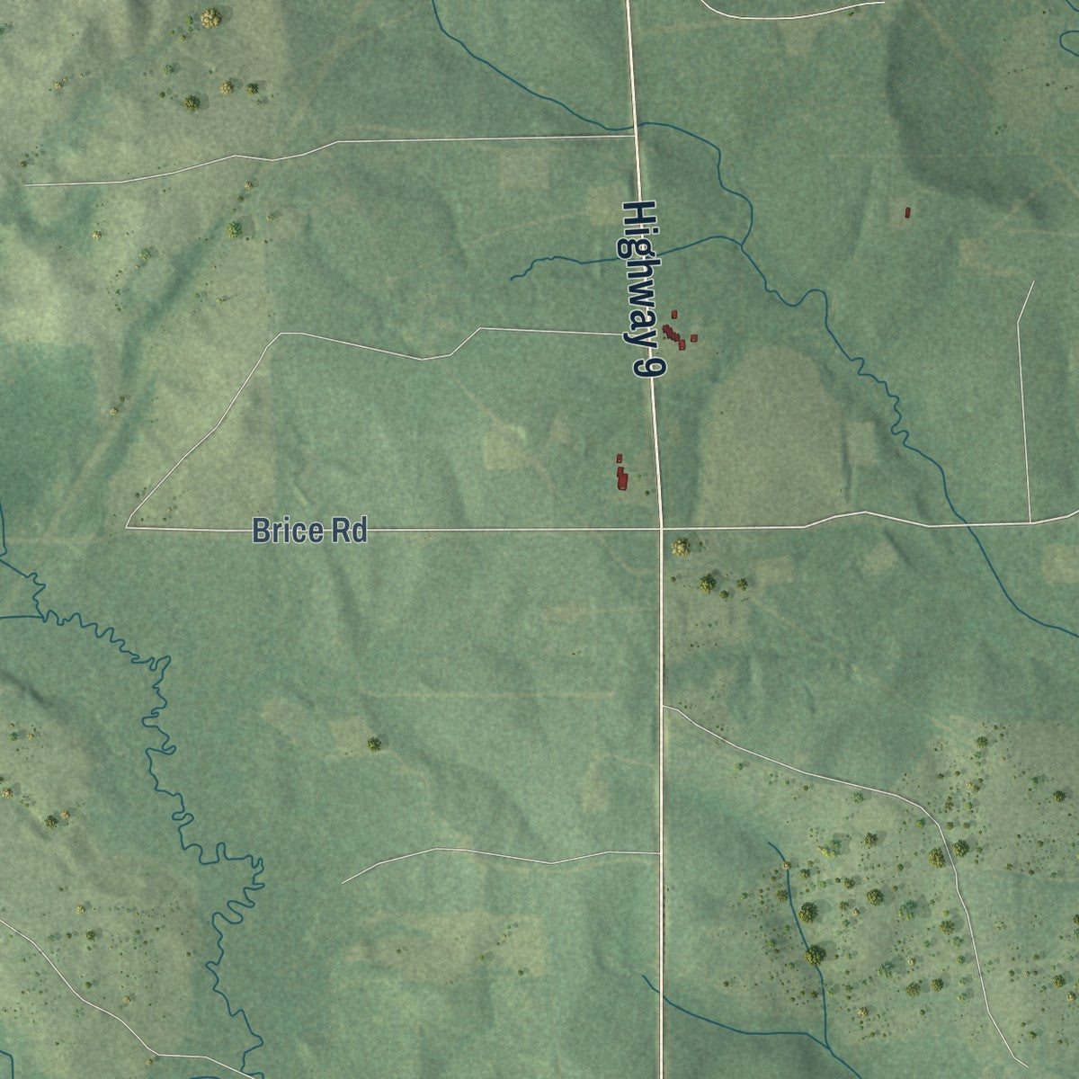 Second close-up of the map of Bienville, Louisiana print showing more streets and buildings