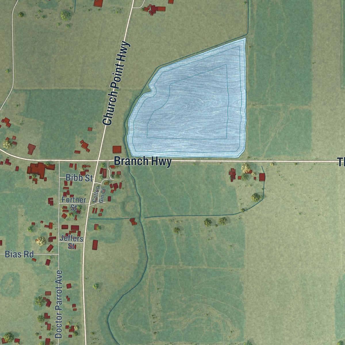 Close-up of the map of Branch, Louisiana print showing street and building detail