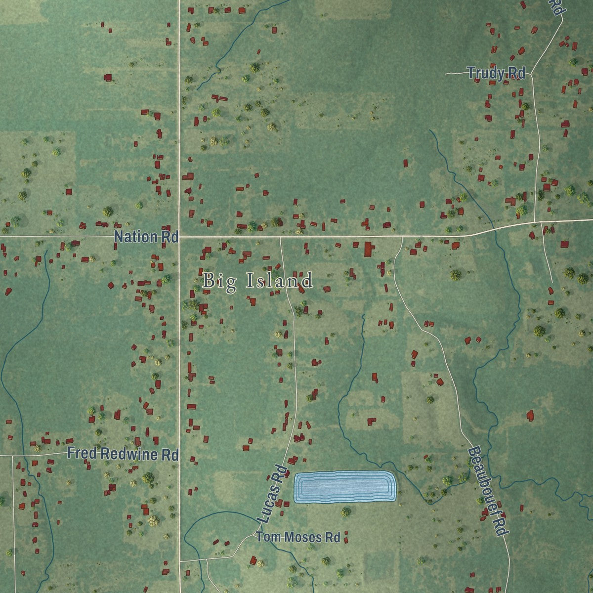 Close-up of the map of Buckeye, Louisiana print showing street and building detail