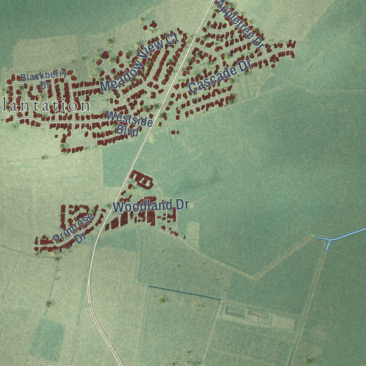 Close-up of the map of Chackbay, Louisiana print showing street and building detail