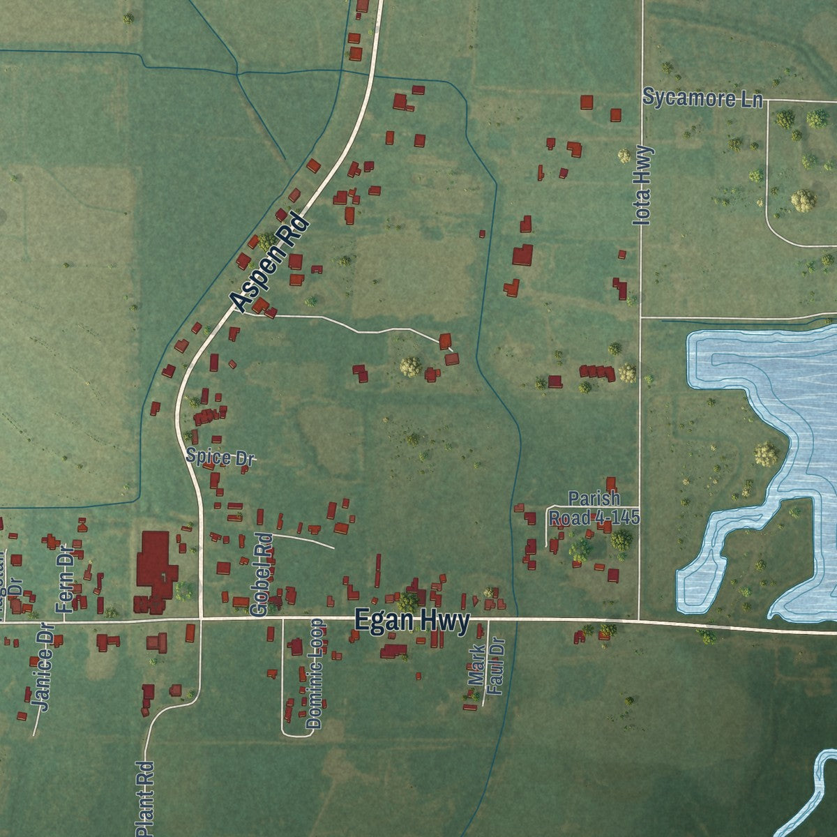 Close-up of the map of Egan, Louisiana print showing street and building detail