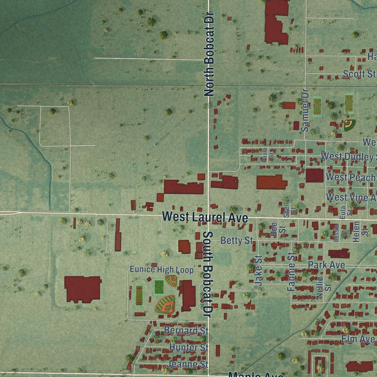 Second close-up of the map of Eunice, Louisiana print showing more streets and buildings