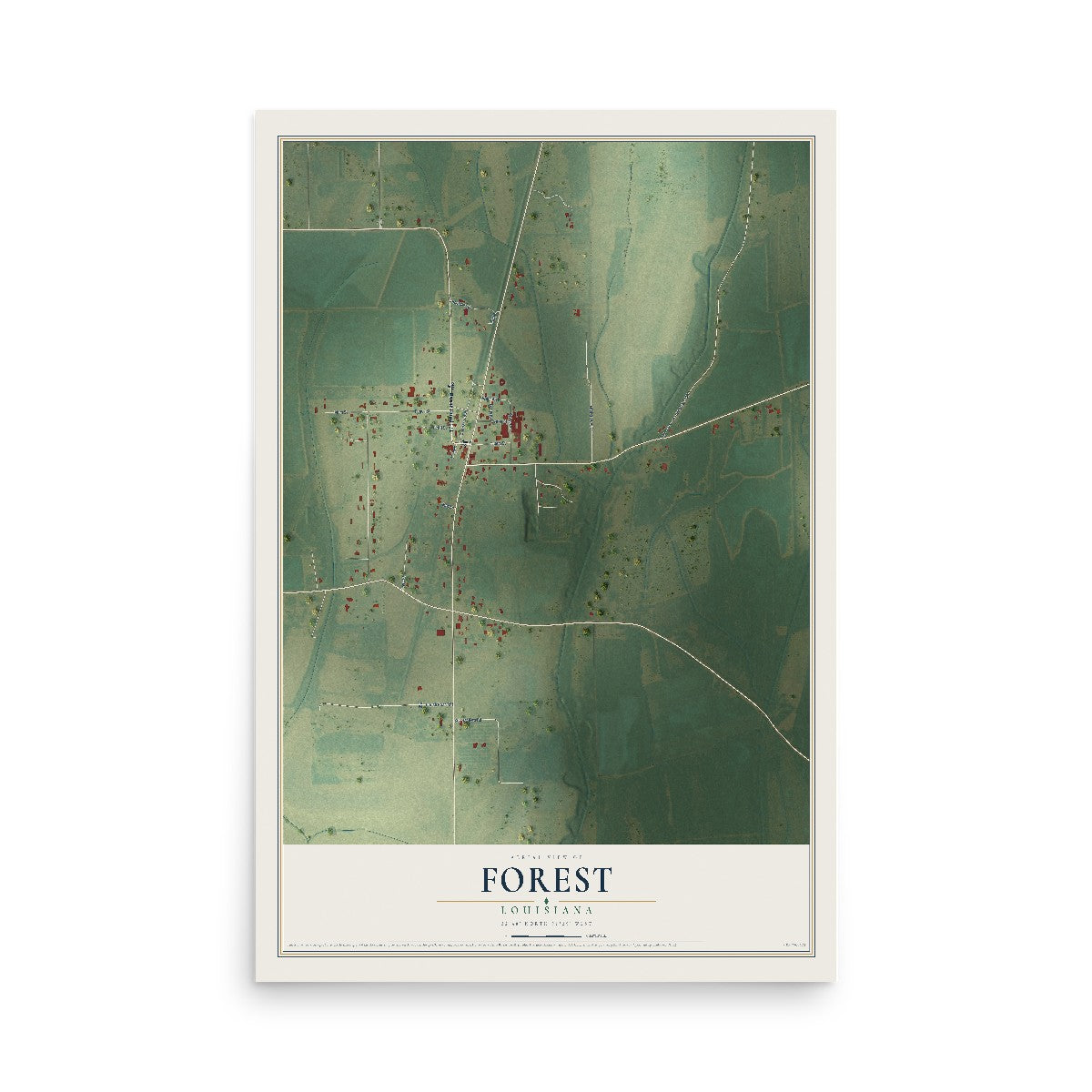 Map of Forest, Louisiana, 12 x 18 inch unframed archival matte print