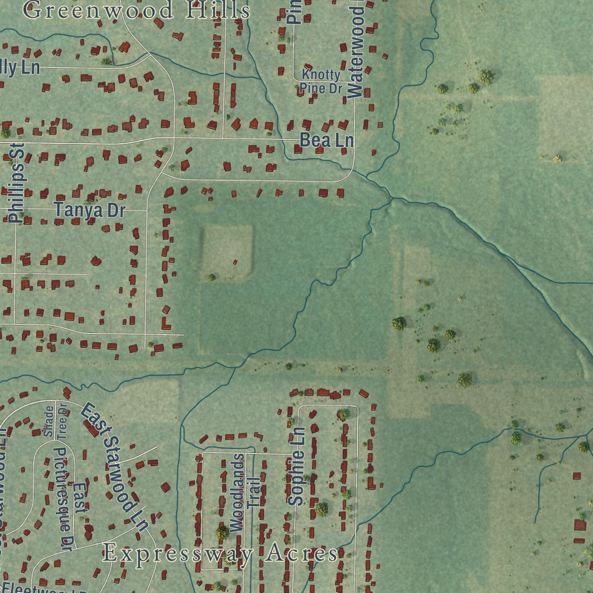 Close-up of the map of Greenwood, Louisiana print showing street and building detail