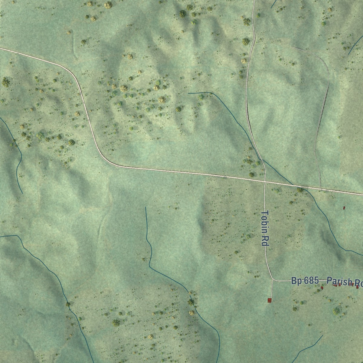 Close-up of the map of Lucky, Louisiana print showing street and building detail