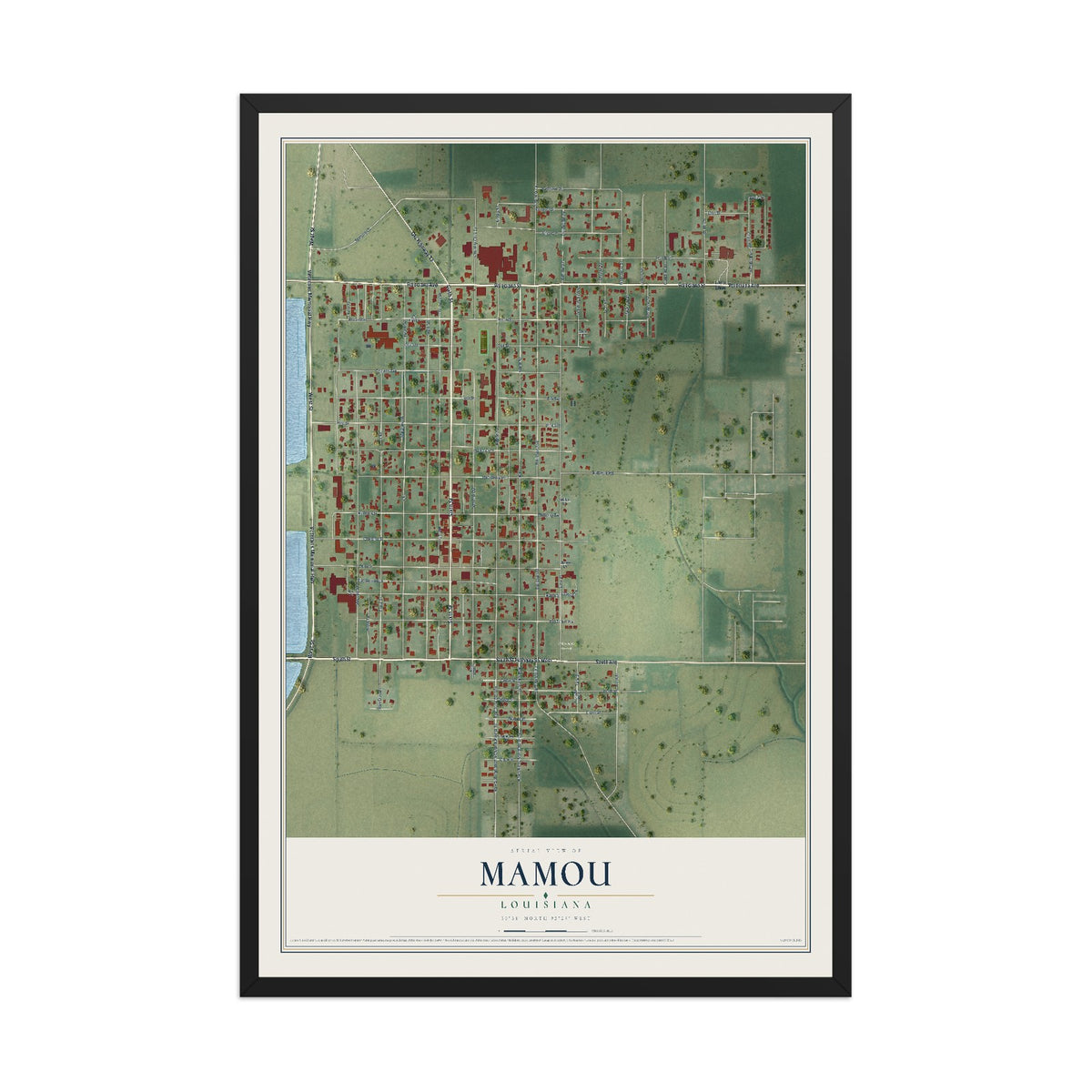 Map of Mamou, Louisiana, 12 x 18 inch print in a black wood frame