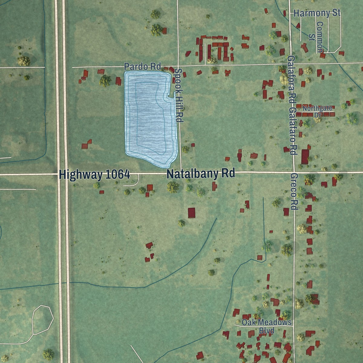 Close-up of the map of Natalbany, Louisiana print showing street and building detail