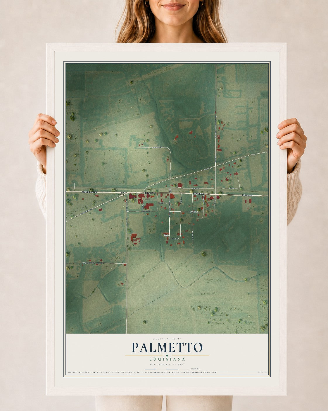 Map of Palmetto, Louisiana, 24 x 36 inch print in a white wood frame