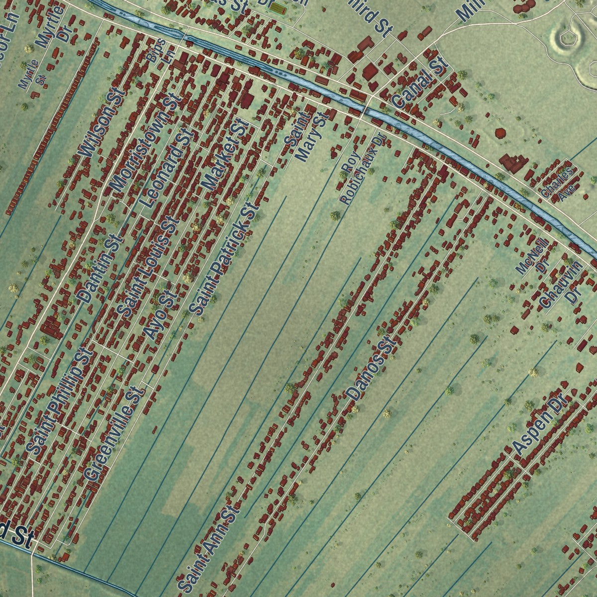 Close-up of the map of Raceland, Louisiana print showing street and building detail