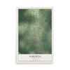 Map of Sarepta, Louisiana, 12 x 18 inch unframed archival matte print