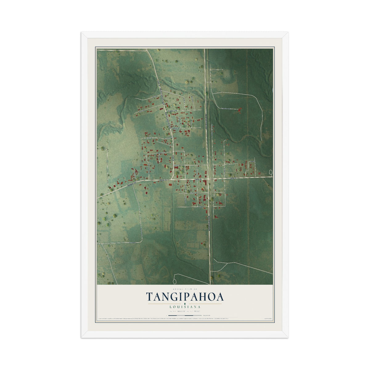 Map of Tangipahoa, Louisiana, 12 x 18 inch print in a white wood frame
