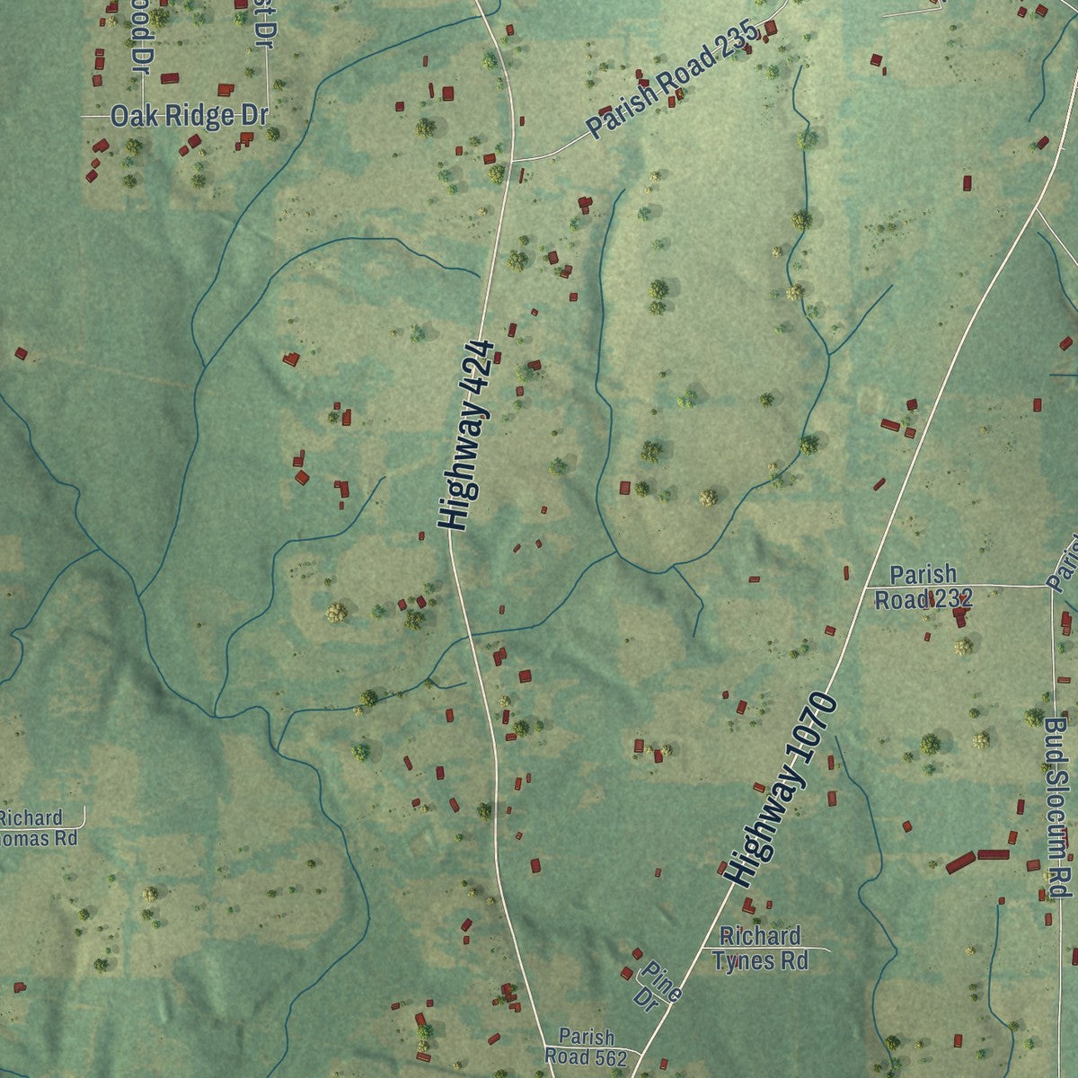 Close-up of the map of Thomas, Louisiana print showing street and building detail