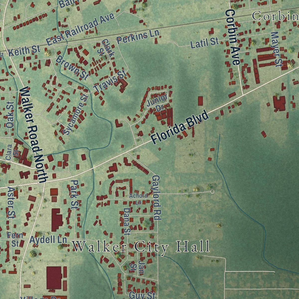 Close-up of the map of Walker, Louisiana print showing street and building detail