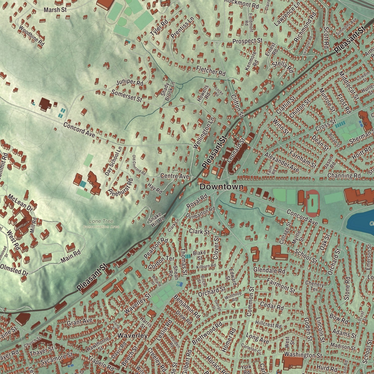 Street and neighborhood detail from the Belmont, Massachusetts map