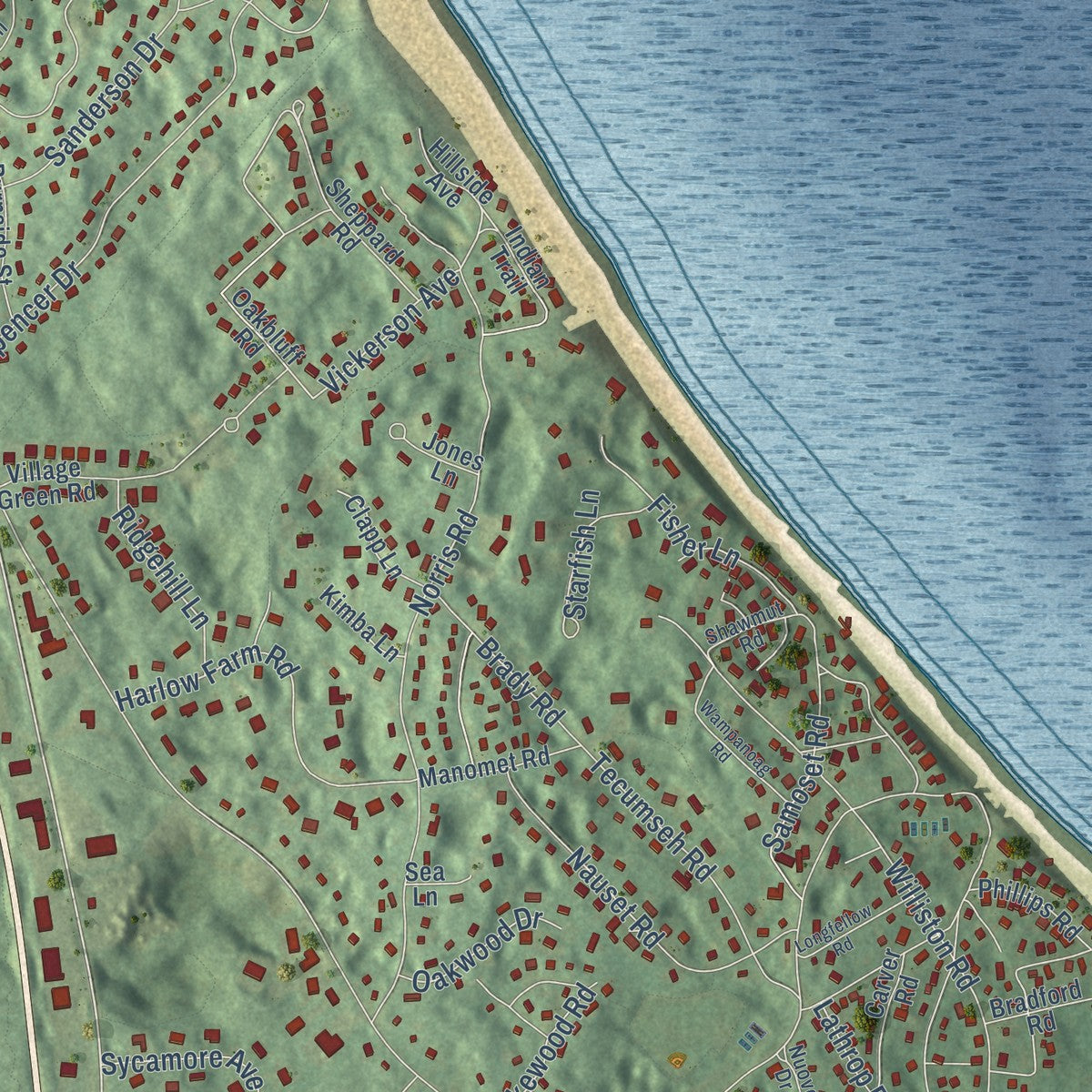 Close-up of the map of Bournedale, Massachusetts print showing street and building detail