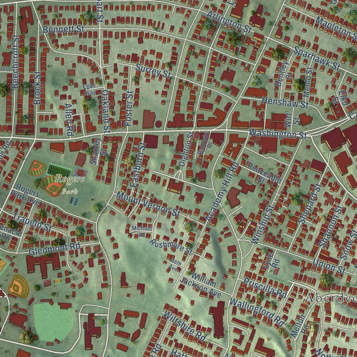 Close-up of the map of Brighton, Massachusetts print showing street and building detail