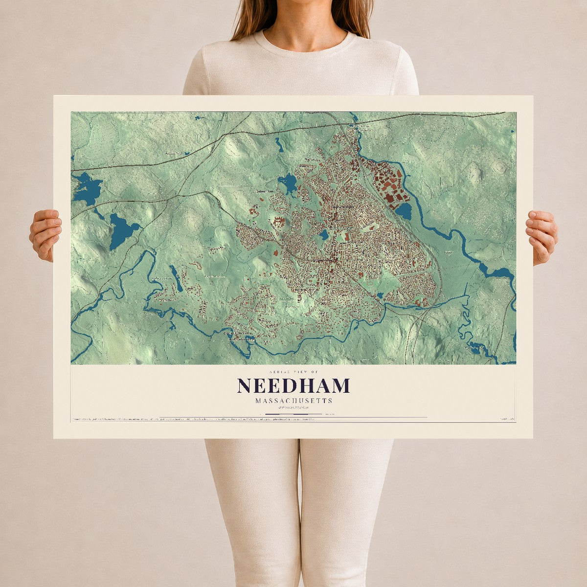 Needham, Massachusetts map print - 24 x 36 archival matte print