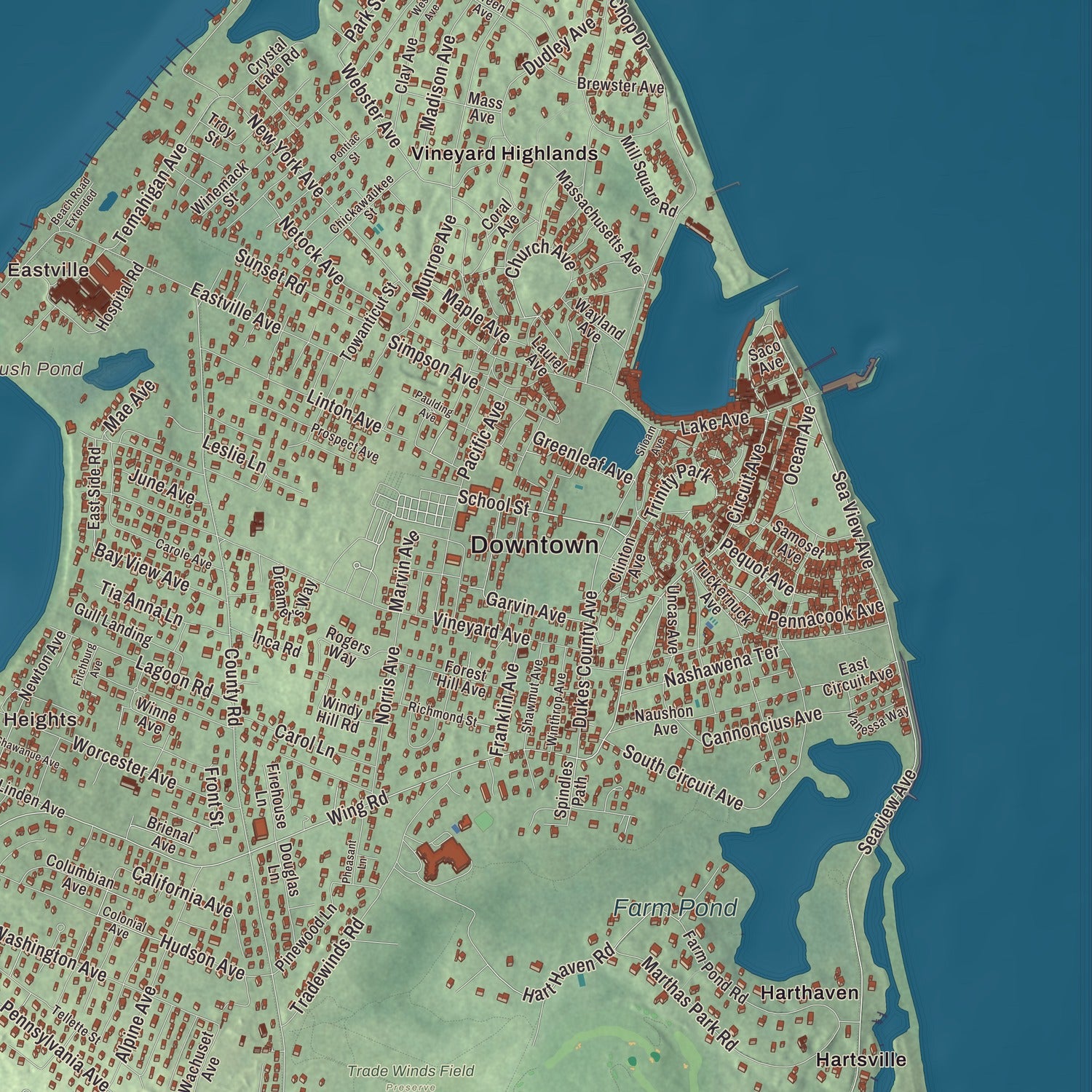 Street and neighborhood detail from the Oak Bluffs, Massachusetts map