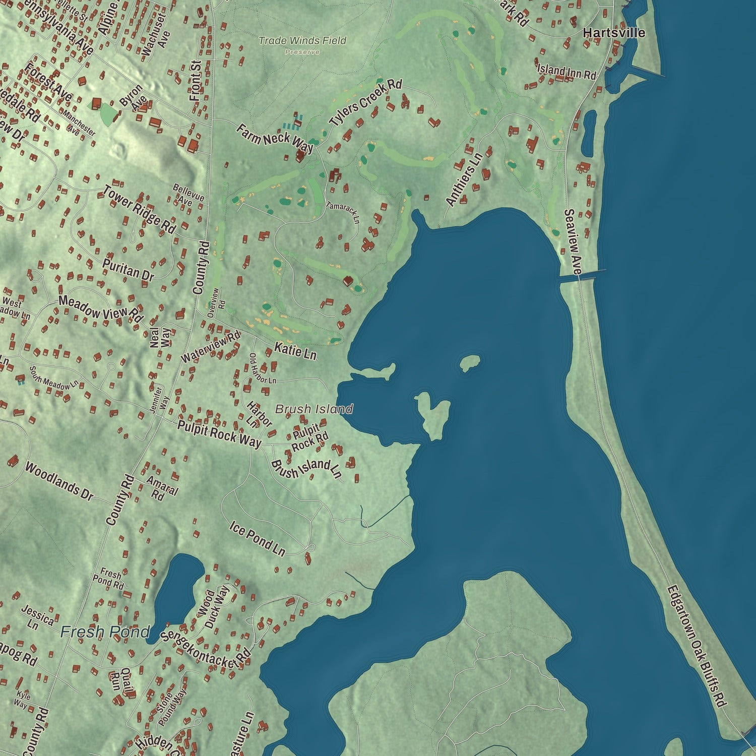 Terrain and local geography detail from the Oak Bluffs, Massachusetts map
