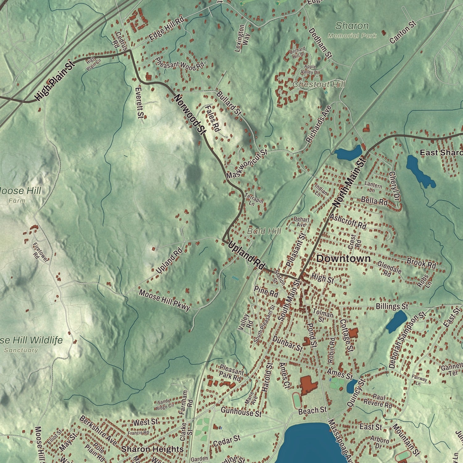 Terrain and local geography detail from the Sharon, Massachusetts map