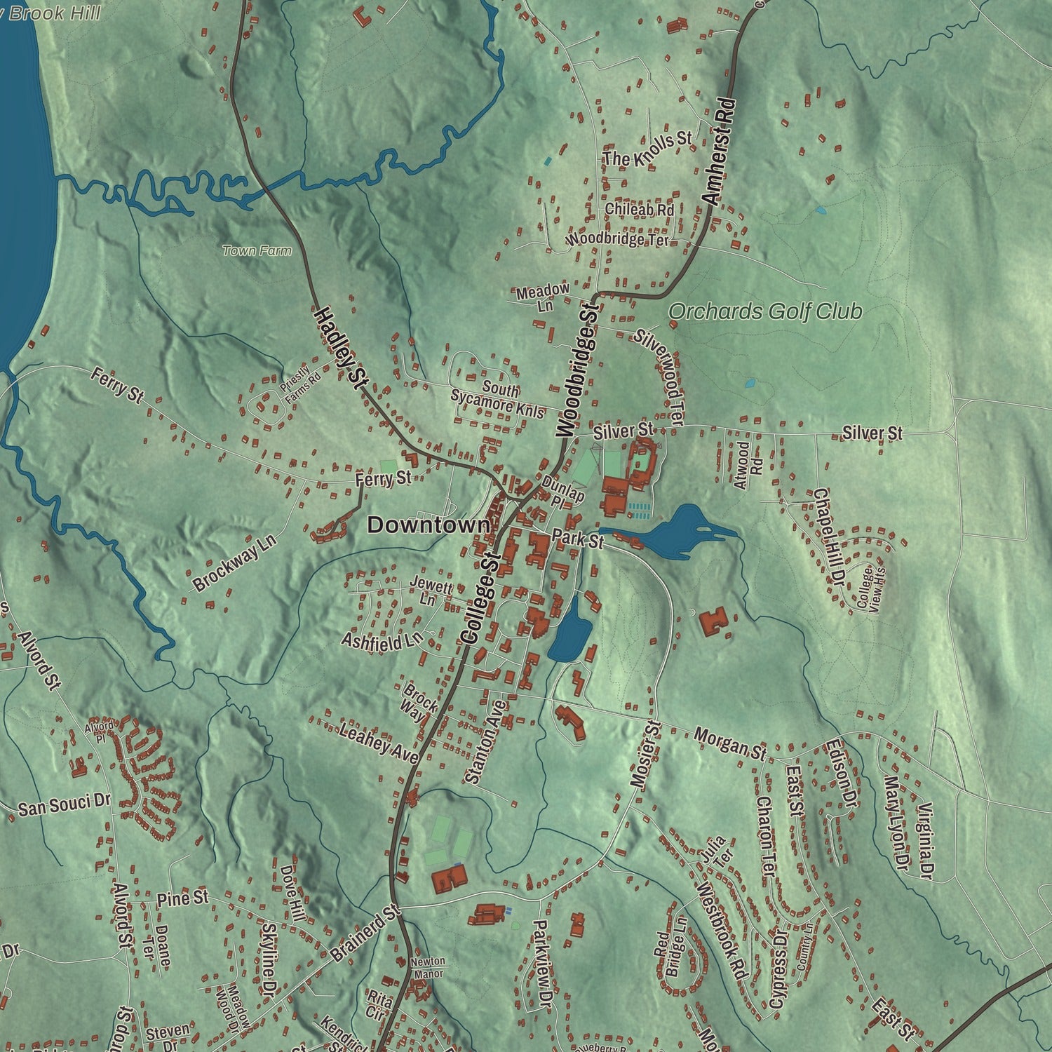 Street and neighborhood detail from the South Hadley, Massachusetts map