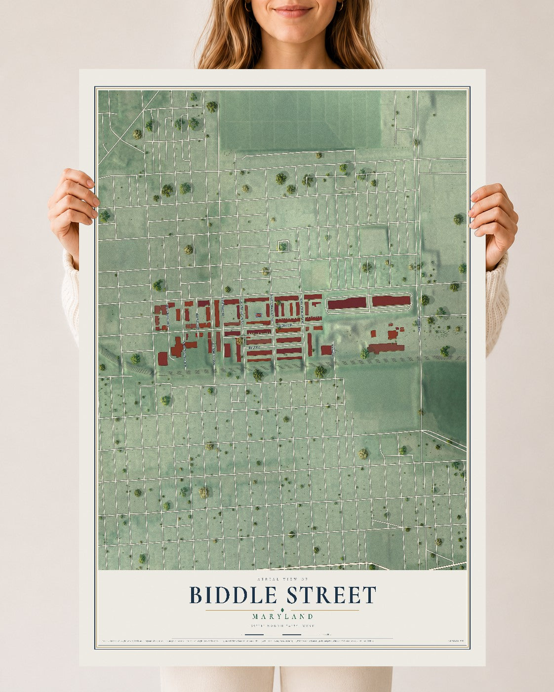 Map of Biddle Street, Maryland, 24 x 36 inch unframed archival matte print