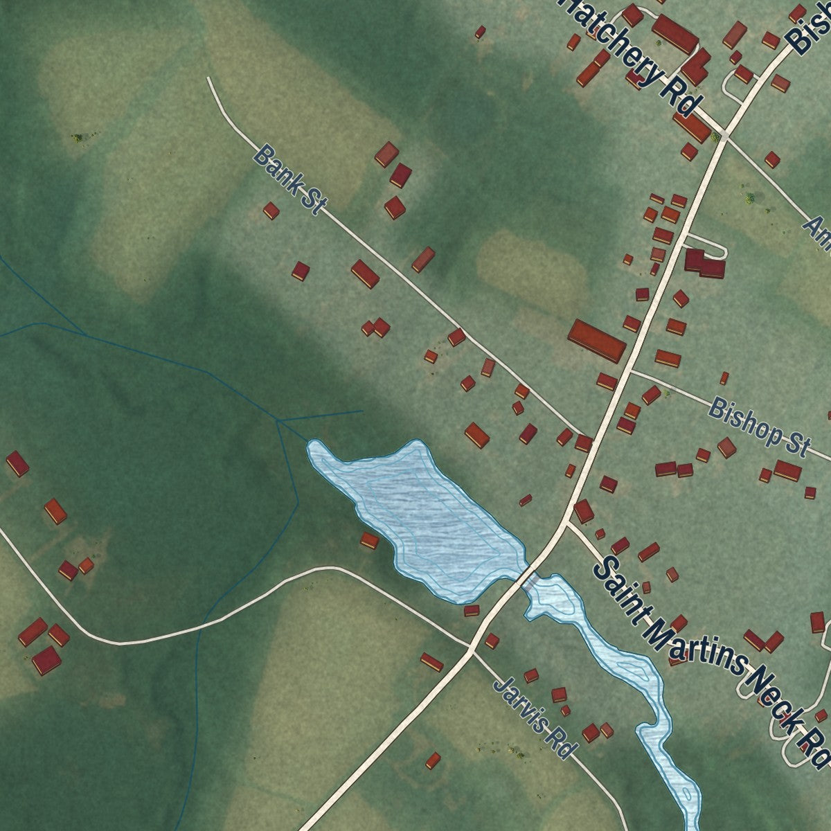 Close-up of the map of Bishopville, Maryland print showing street and building detail