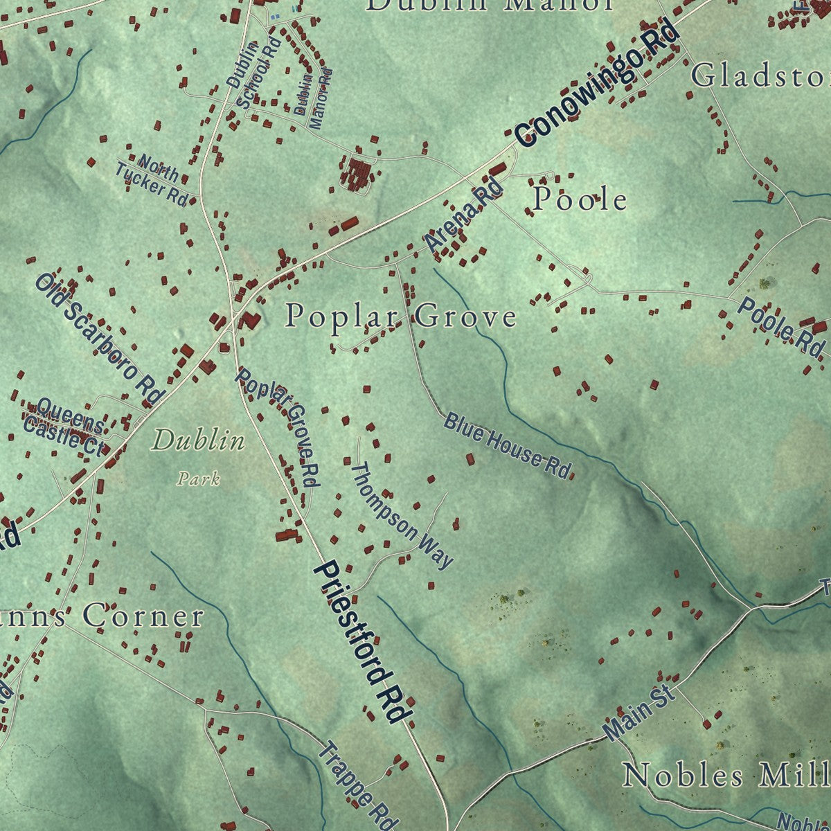 Close-up of the map of Dublin, Maryland print showing street and building detail