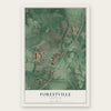 Forestville, Maryland map print, the full design
