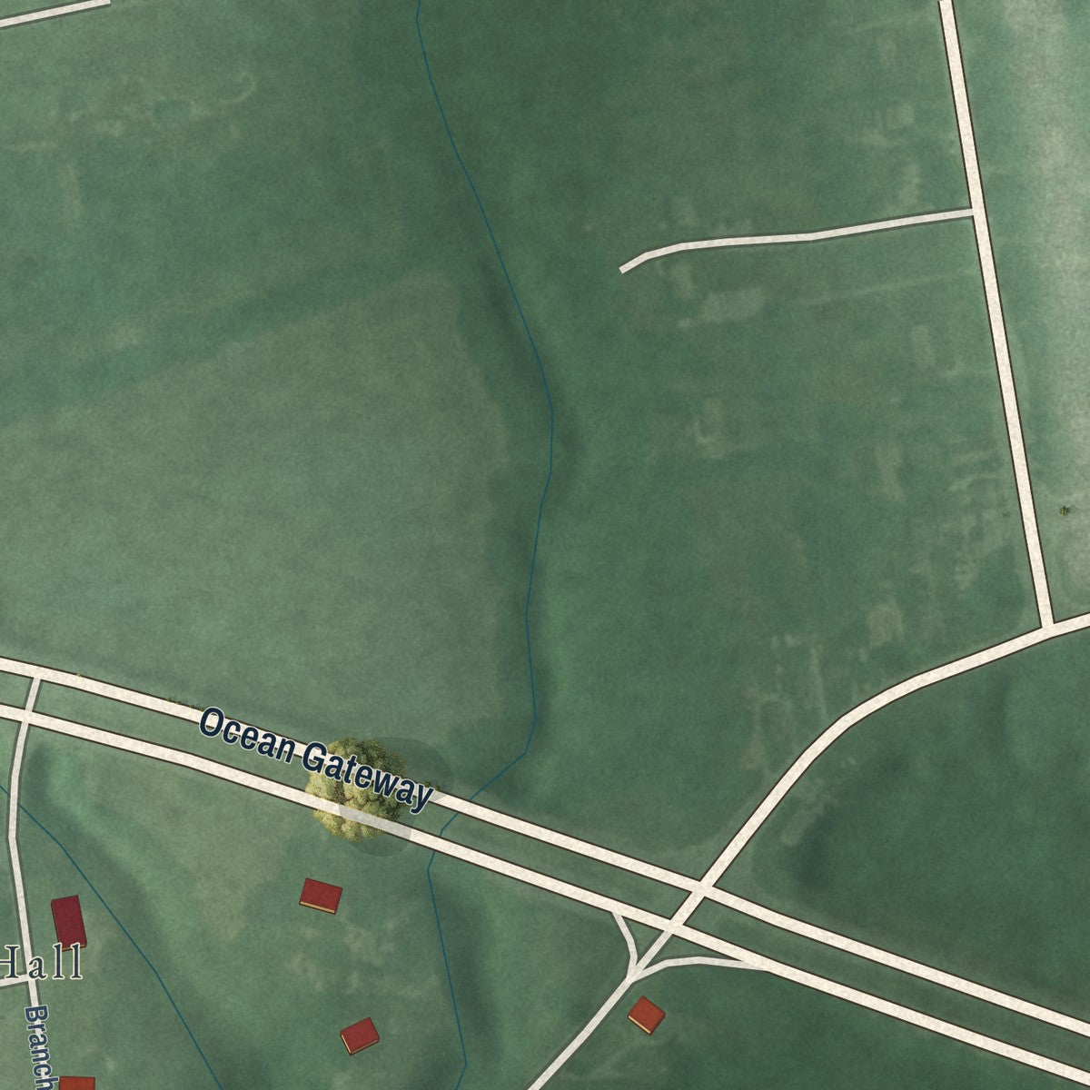 Second close-up of the map of Mardela Springs, Maryland print showing more streets and buildings