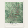 Owings Mills, Maryland map print, the full design