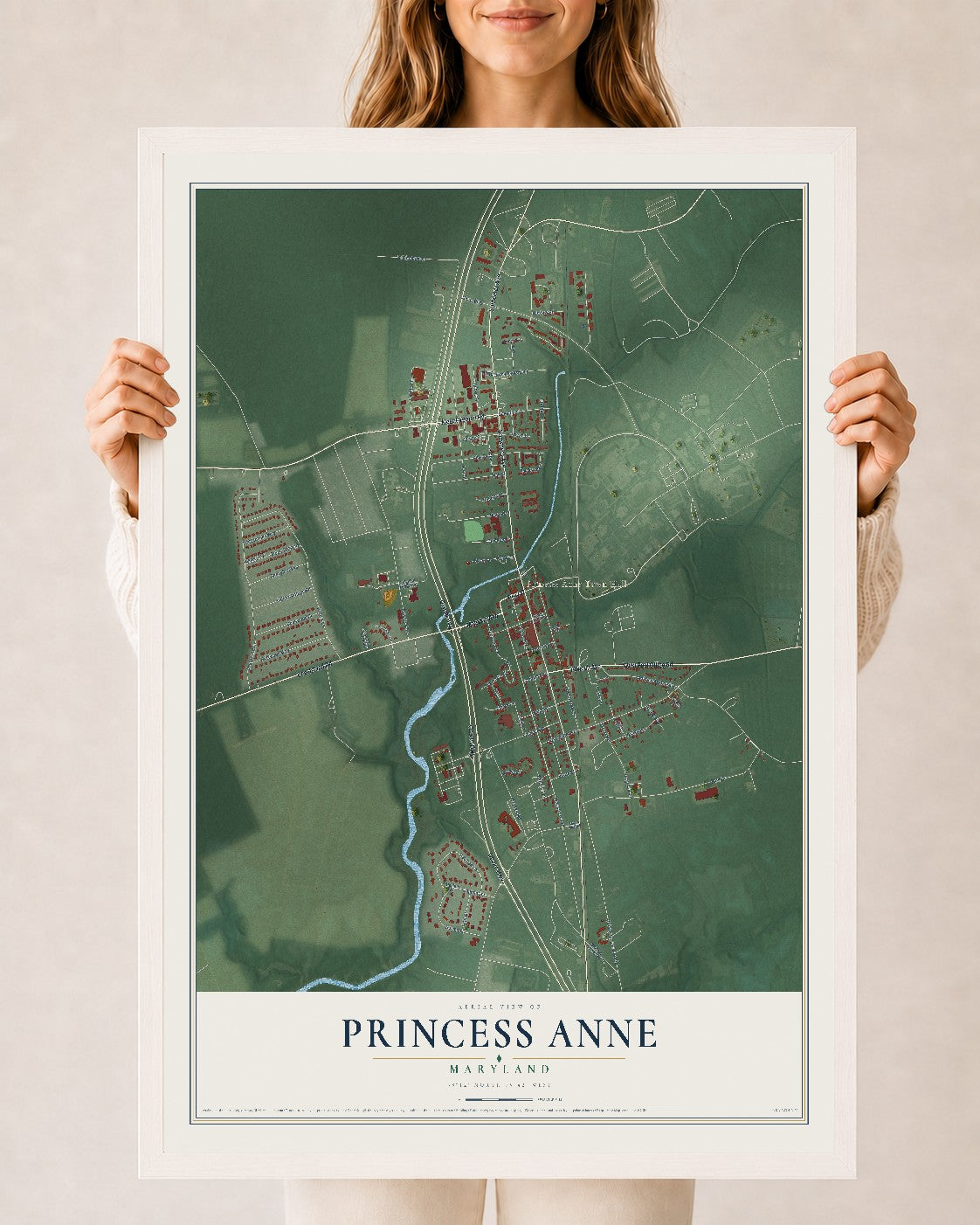 Map of Princess Anne, Maryland, 24 x 36 inch print in a white wood frame