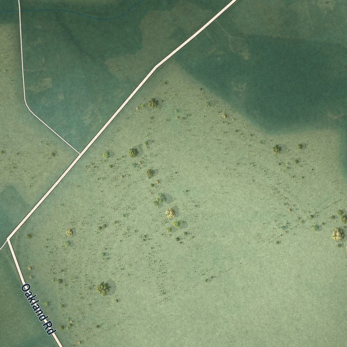 Second close-up of the map of Ridgely, Maryland print showing more streets and buildings
