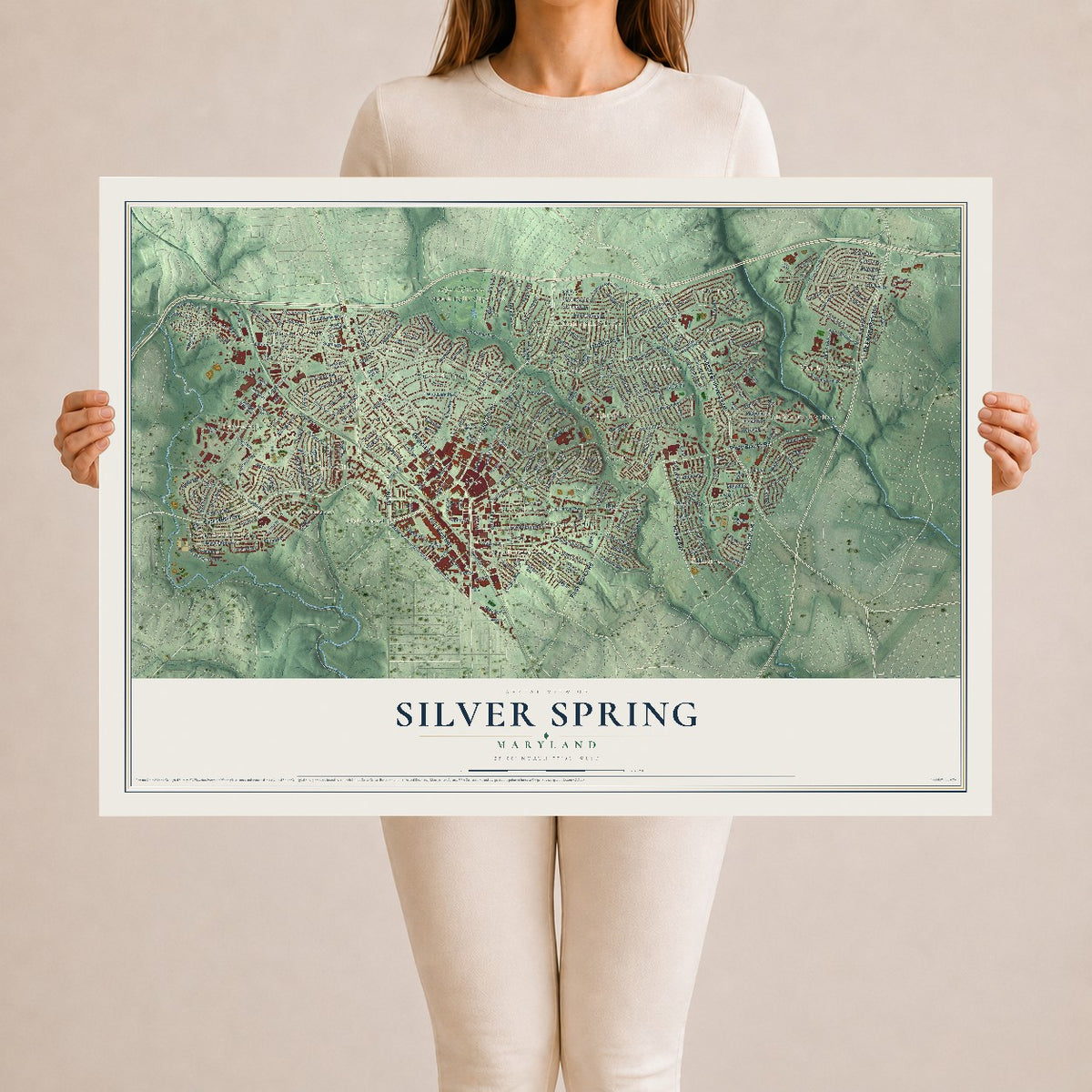 Map of Silver Spring, Maryland, 24 x 36 inch unframed archival matte print