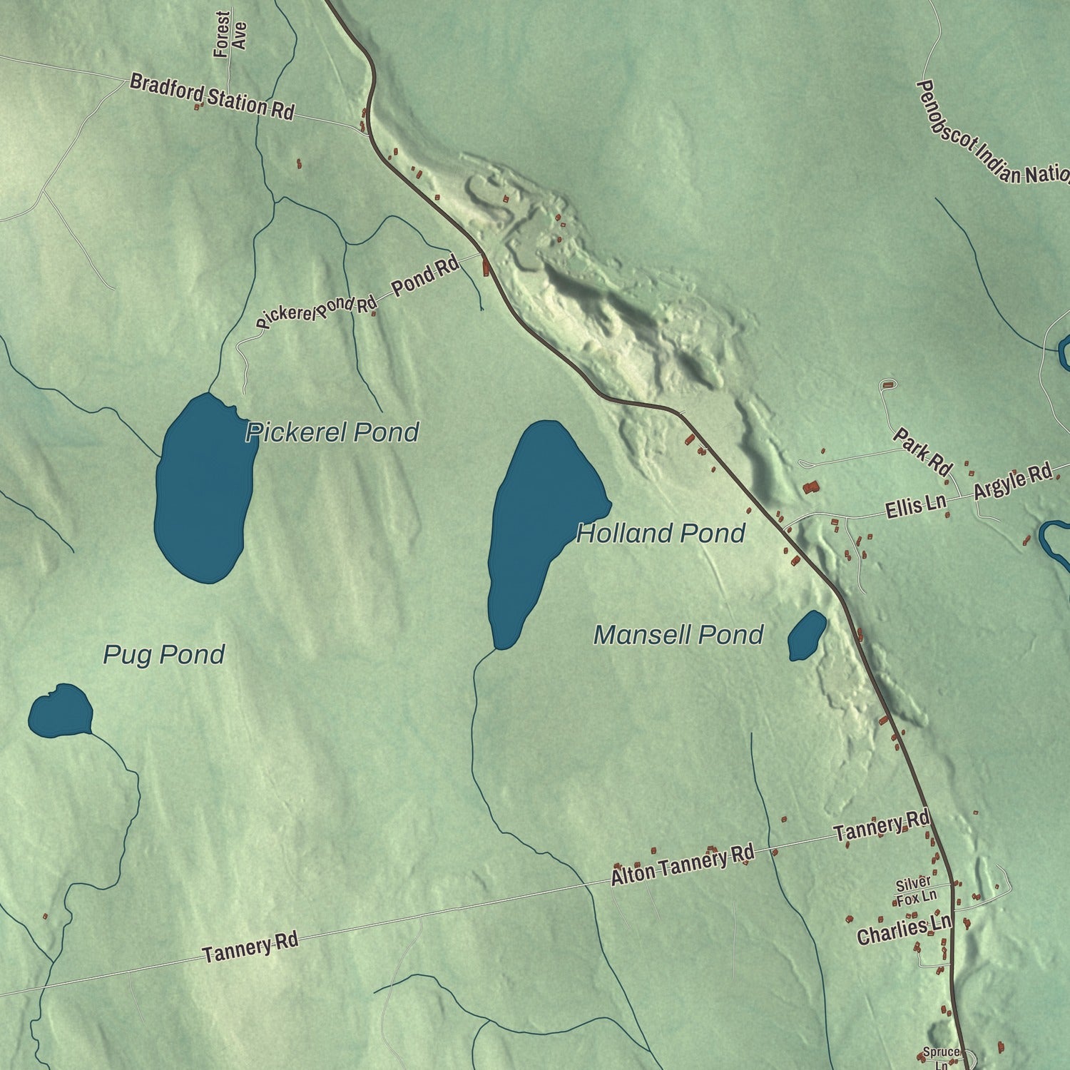 Terrain and local geography detail from the Alton, Maine map