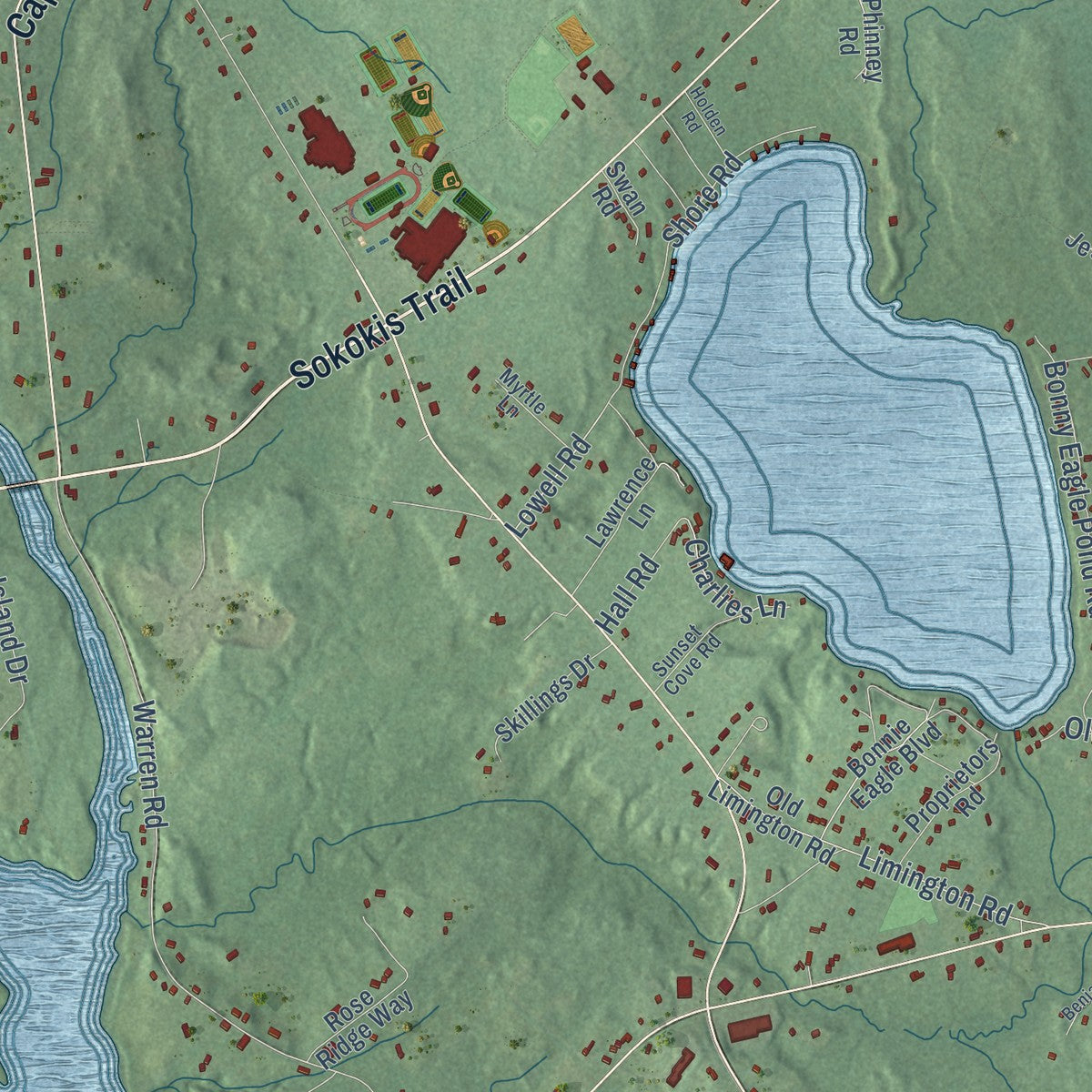 Close-up of the map of Bonny Eagle, Maine print showing street and building detail