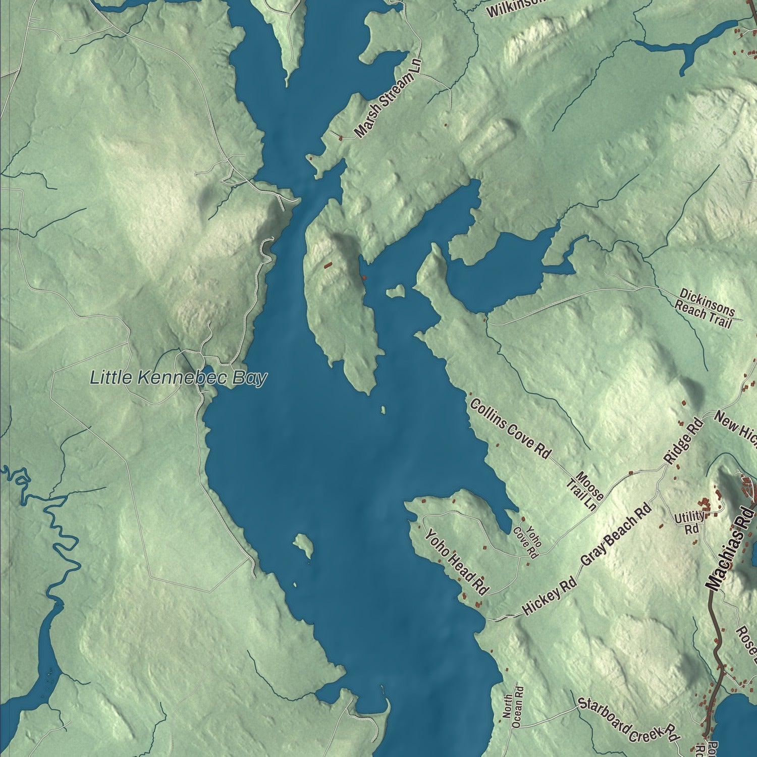 Terrain and local geography detail from the Machiasport, Maine map
