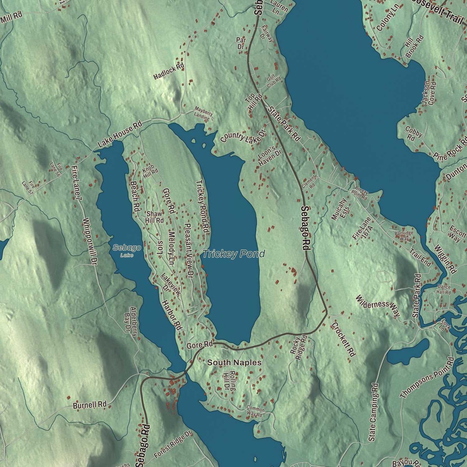 Terrain and local geography detail from the Naples, Maine map