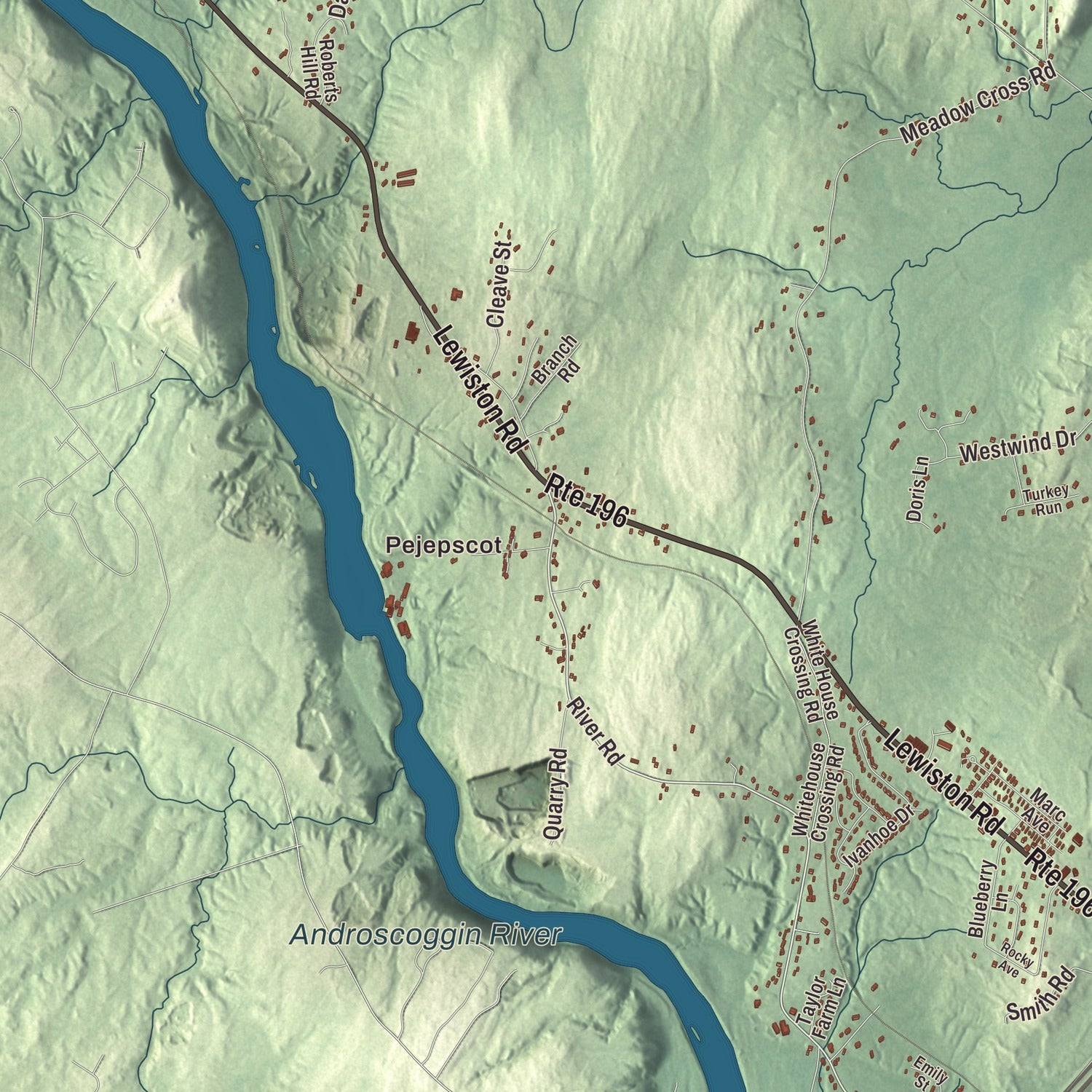 Street and neighborhood detail from the Topsham, Maine map
