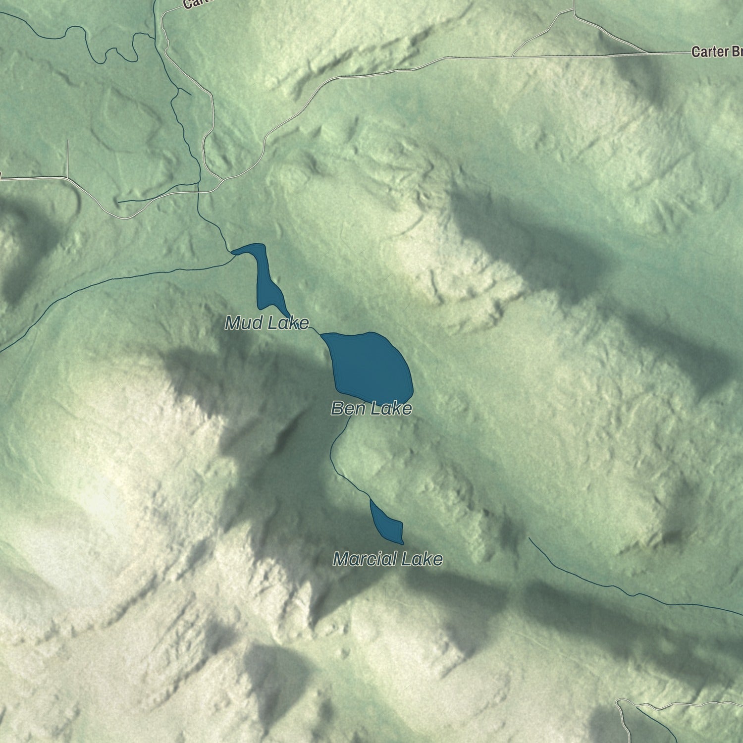 Terrain and local geography detail from the Wallagrass, Maine map
