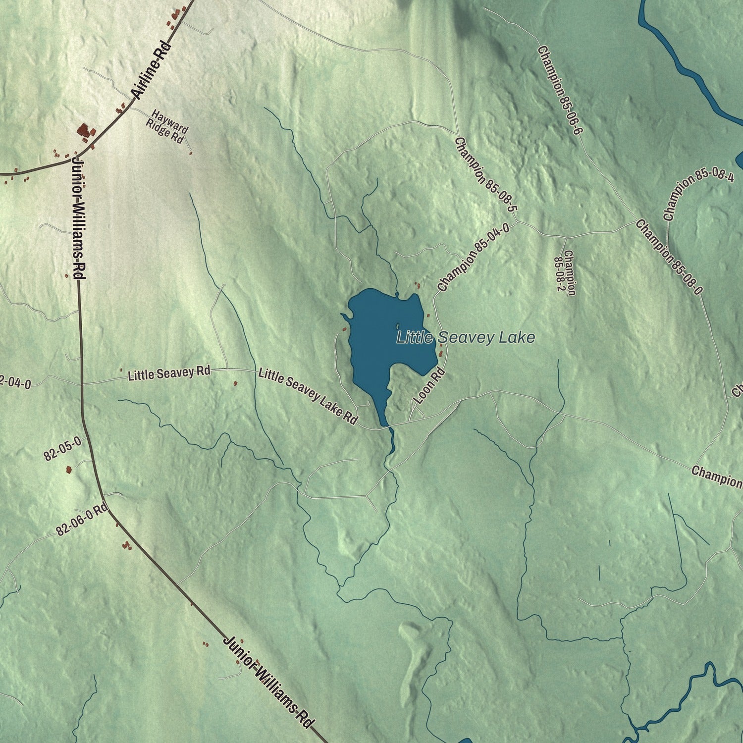 Terrain and local geography detail from the Wesley, Maine map