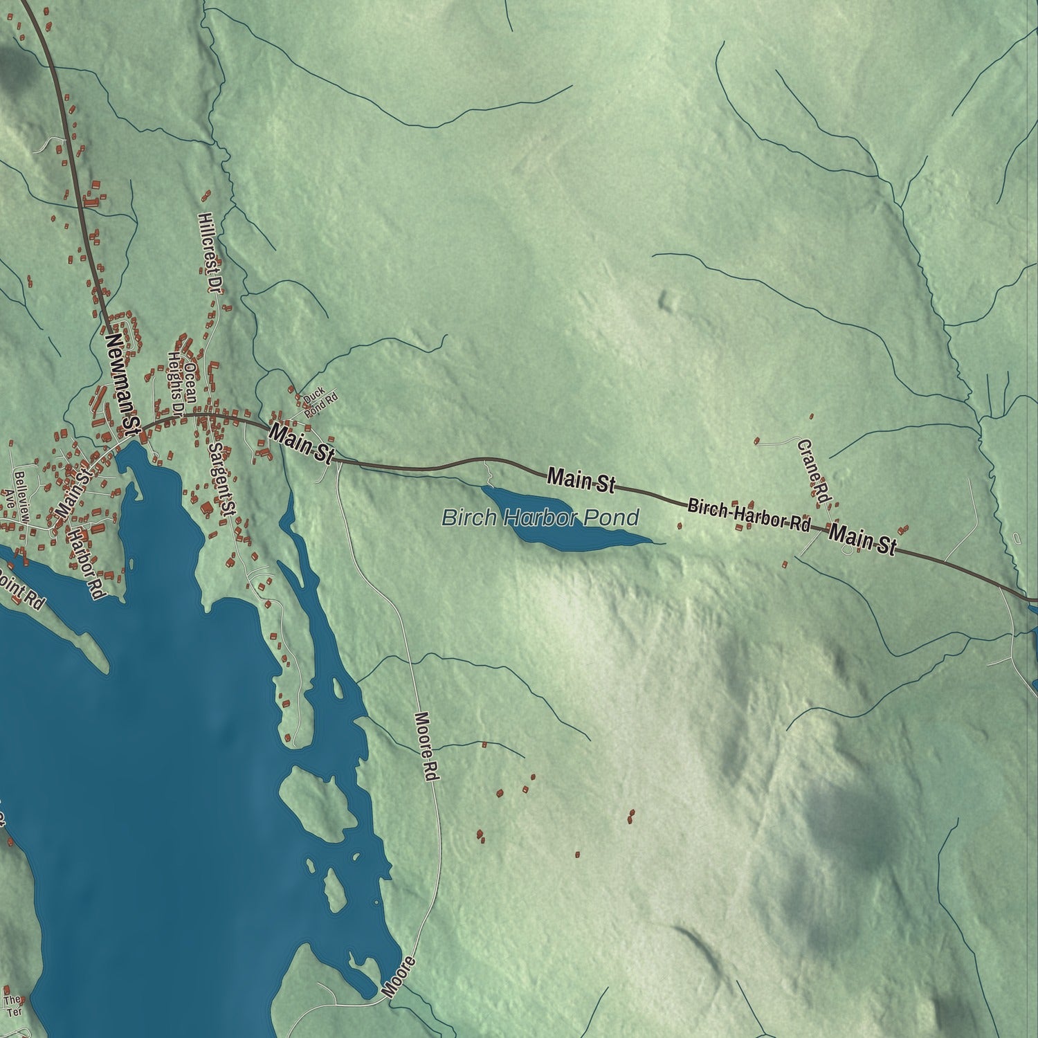 Terrain and local geography detail from the Winter Harbor, Maine map