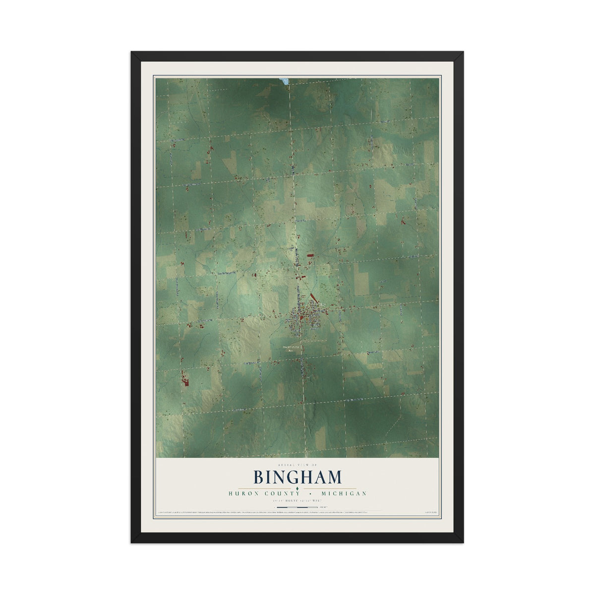 Map of Bingham, Huron County, Michigan, 12 x 18 inch print in a black wood frame