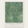 Bloomingdale Township, Michigan map print, the full design