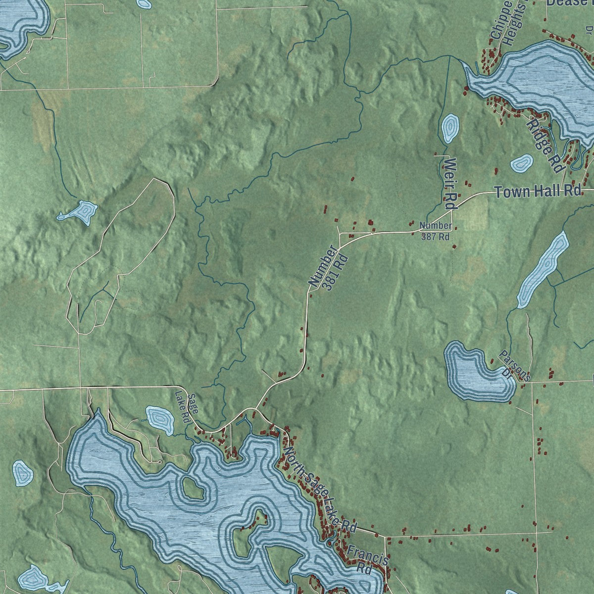 Close-up of the map of Hale, Michigan print showing street and building detail