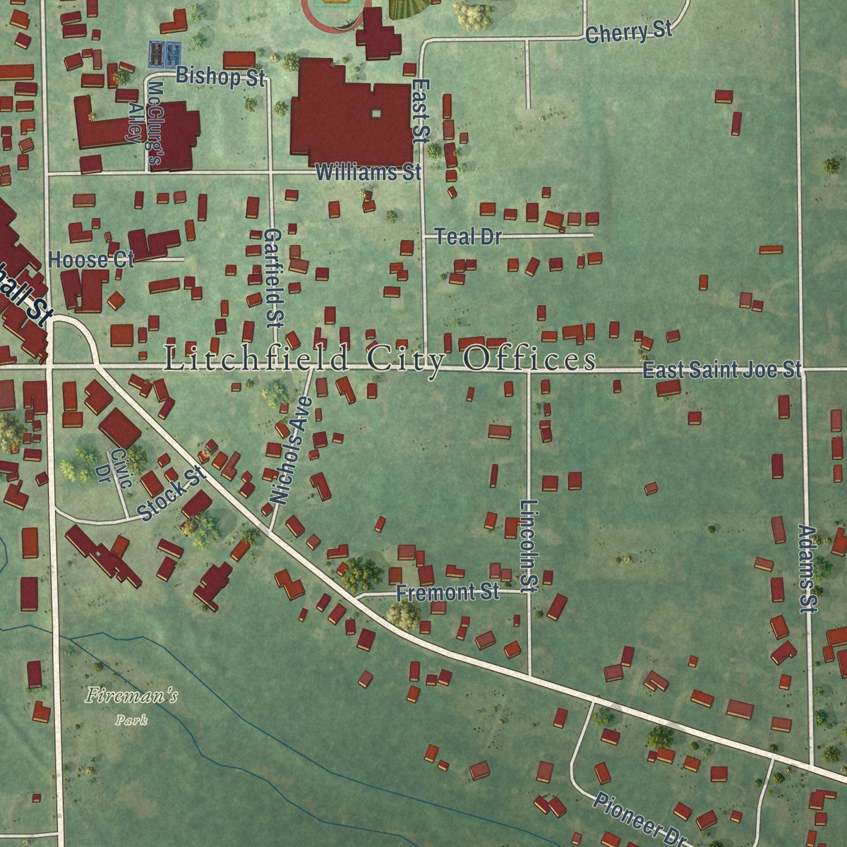 Close-up of the map of Litchfield, Michigan print showing street and building detail