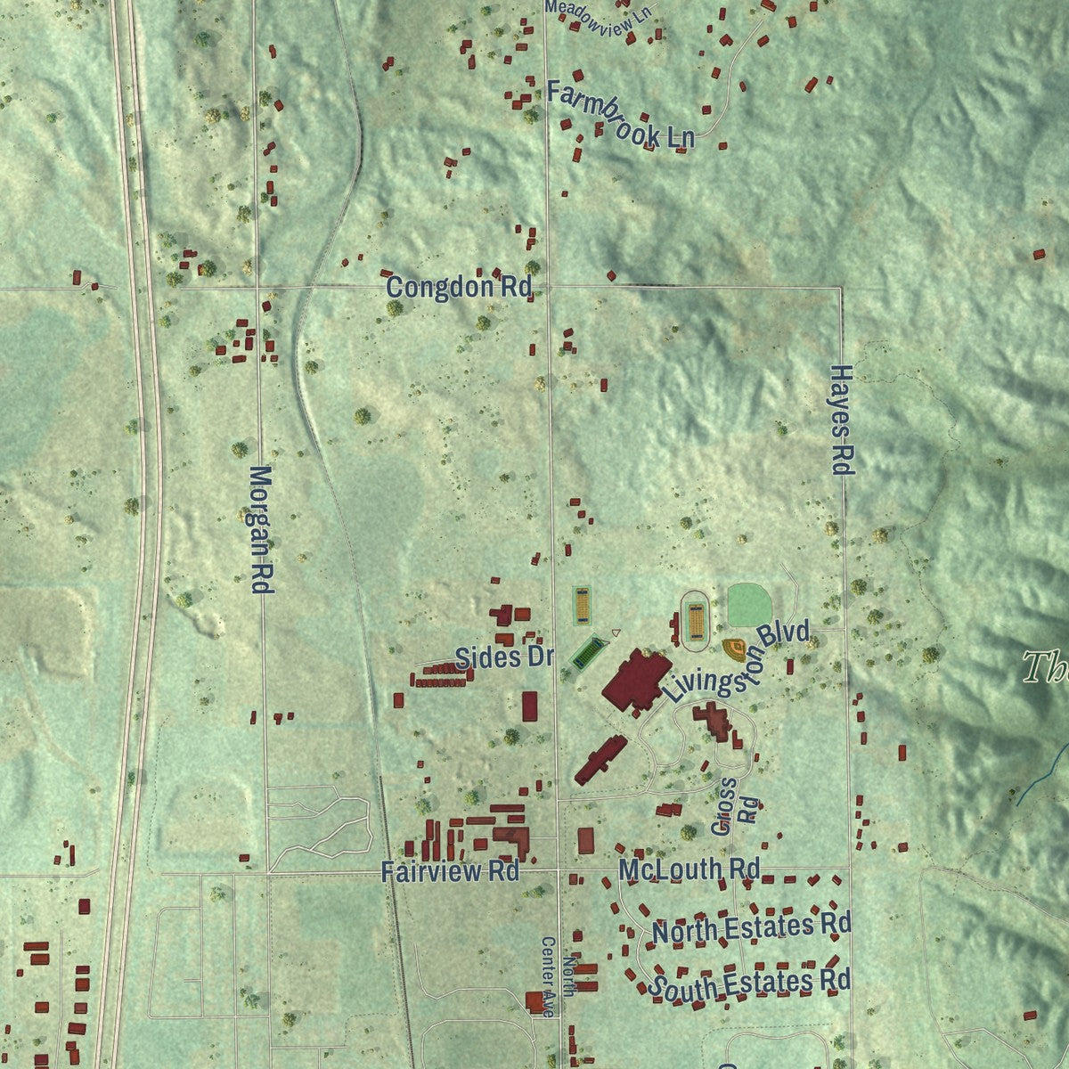 Close-up of the map of Livingston, Michigan print showing street and building detail