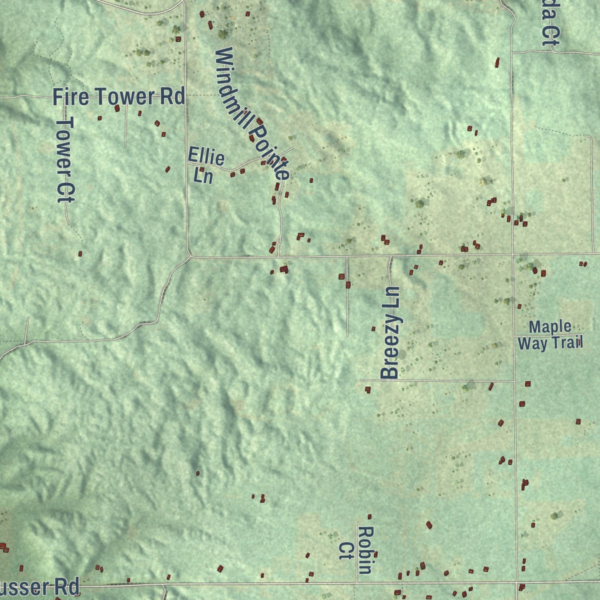 Close-up of the map of Mancelona, Antrim County, Michigan print showing street and building detail