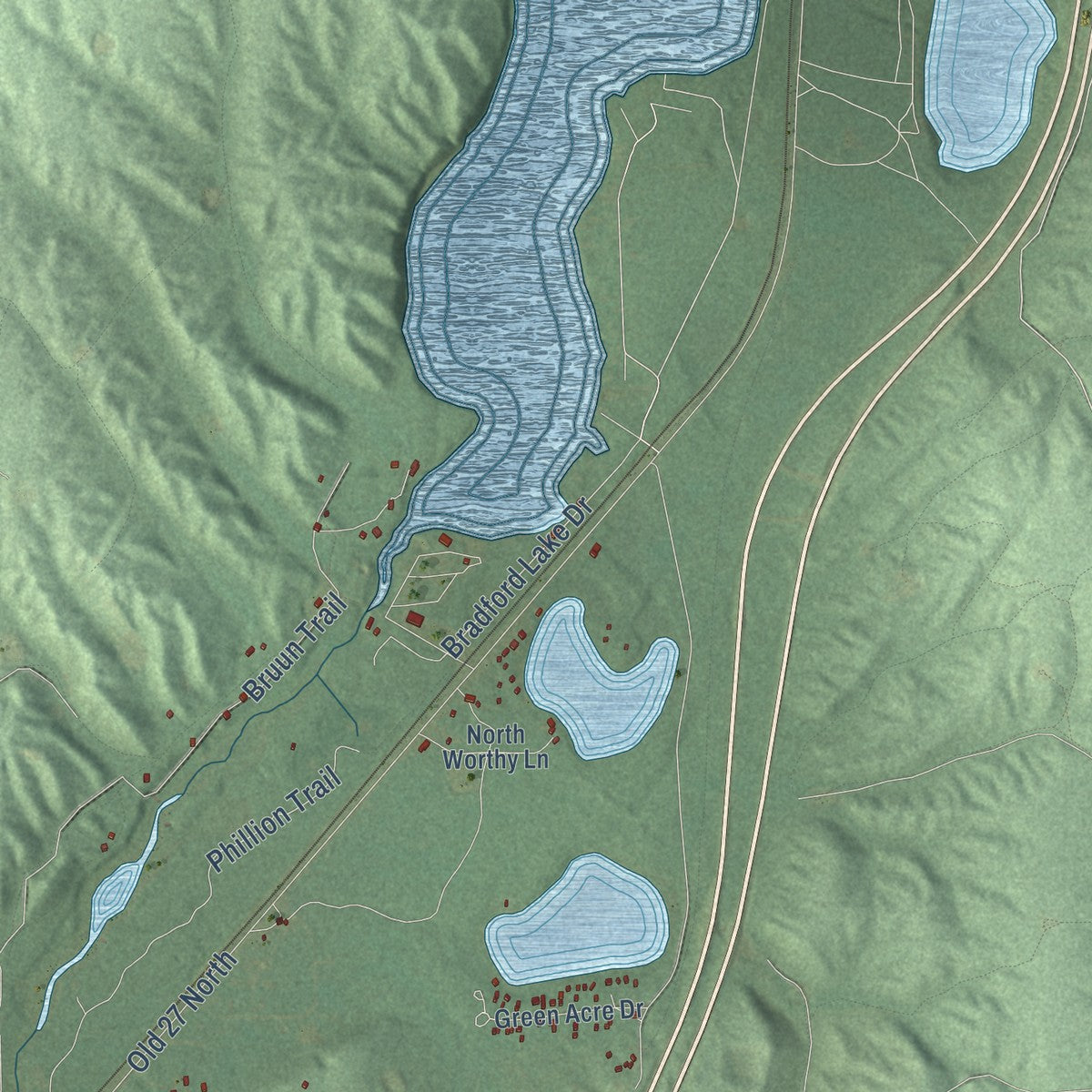 Close-up of the map of Maple Forest, Michigan print showing street and building detail