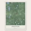 Marcellus, Cass County, Michigan map print, the full design